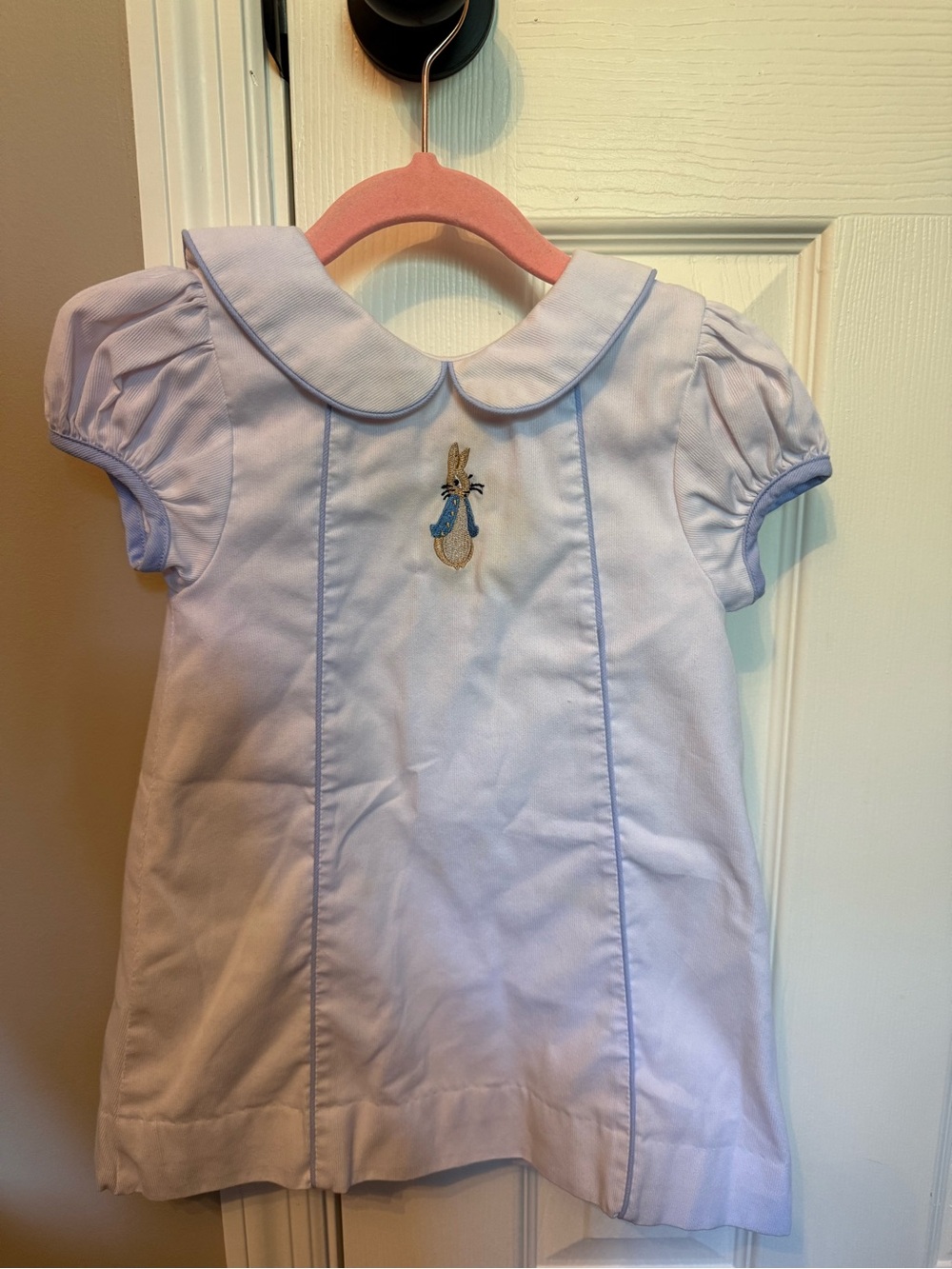 Blue Dress with Peter Rabbit Embroidery
